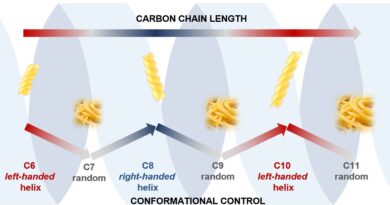 I cambiamenti in una catena di carbonio