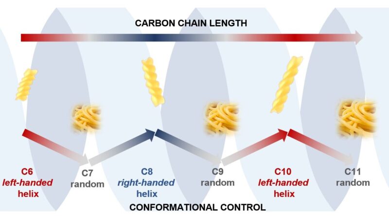 I cambiamenti in una catena di carbonio