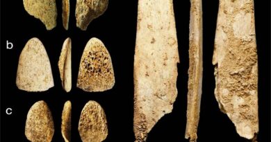Manufatti ossei dell'uomo di Neanderthal