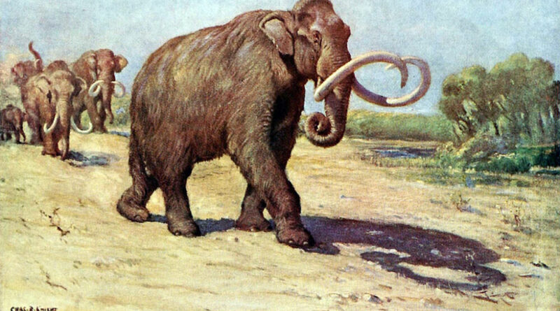 I mammut in centro e sud America