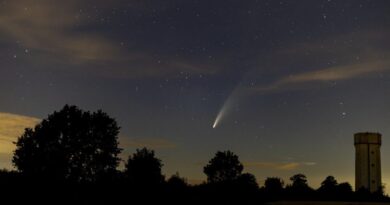 La cometa NEOWISE