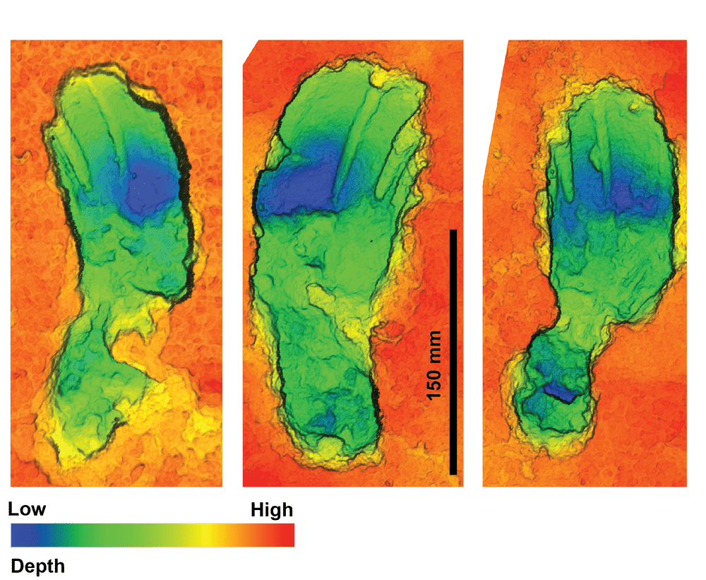 Impronte fossili in falsi colori