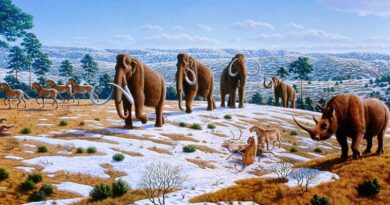 Fauna europea nell'Era Glaciale