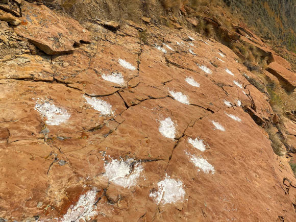 Impronte di mammiferi preistorici nel Wyoming
