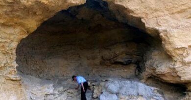 L'ingresso alla Grotta di Coxcatlan