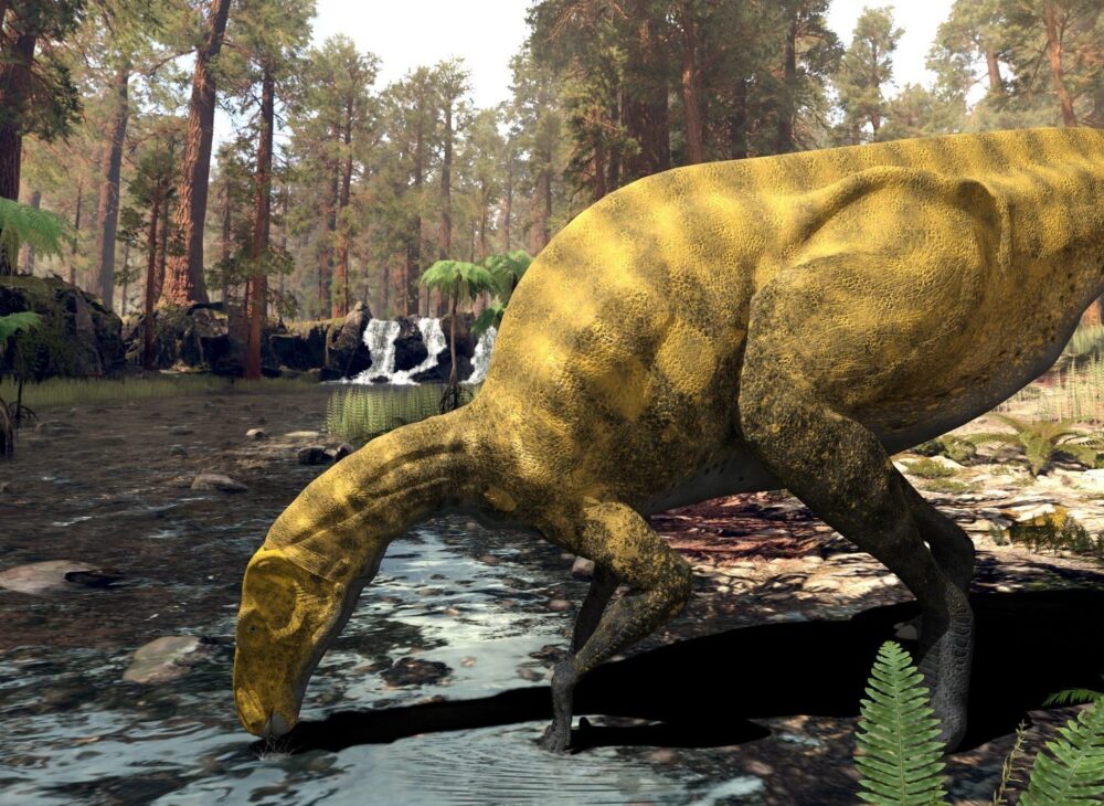 Portellsaurus sosbaynati