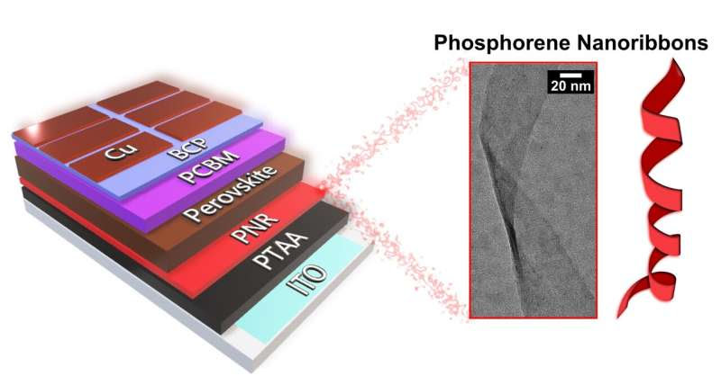 Schema del fosforene in nanostrisce