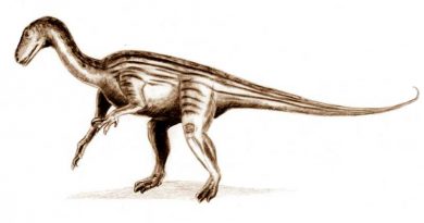 Thecodontosaurus antiquus