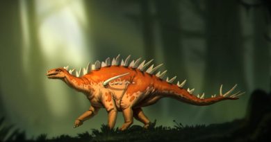 Bashanosaurus primitivus, stegosauro