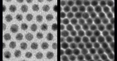 Nanocristalli prima e dopo la "depilazione"