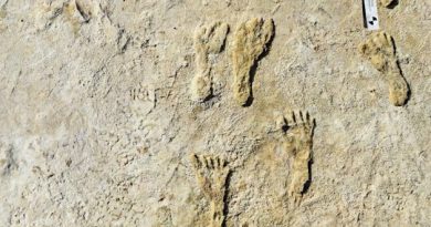 Impronte fossili nel Nuovo Messico