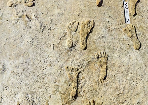Impronte fossili nel Nuovo Messico