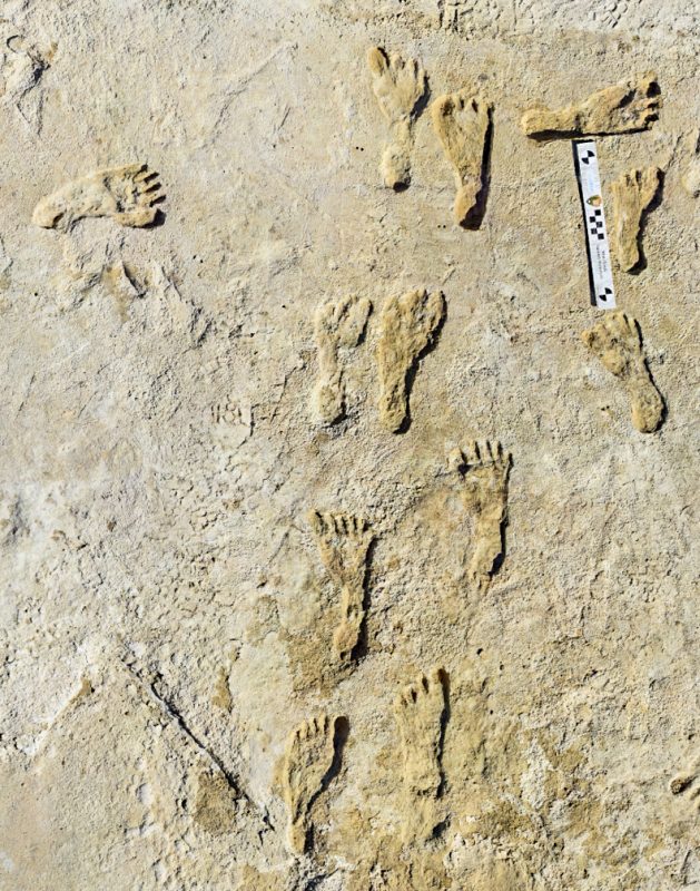 Impronte fossili nel Nuovo Messico