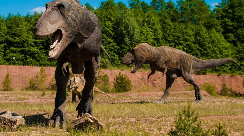 Tirannosauri e triceratopi