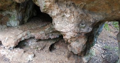 L'ingresso alla grotta di El Mazo