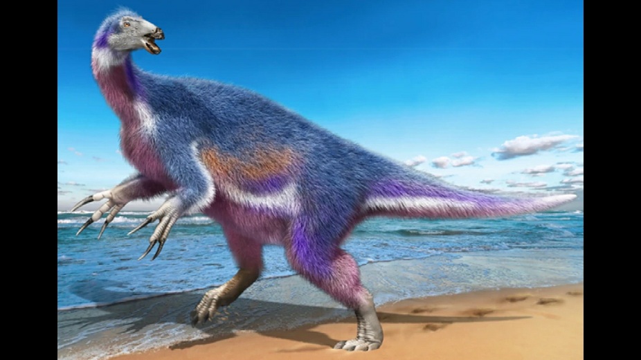 Paralitherizinosaurus japonicus