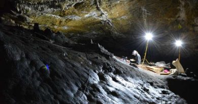 La Cueva de Ardales