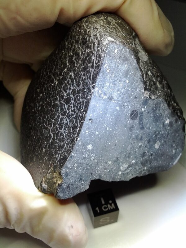 Il meteorite Black Beauty