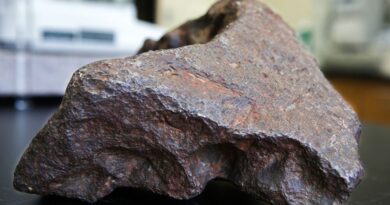 Meteorite di Edmore
