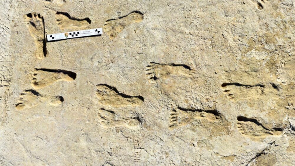 Impronte fossili a White Sands