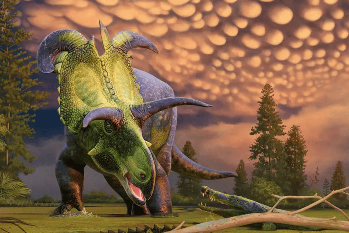 Lokiceratopo
